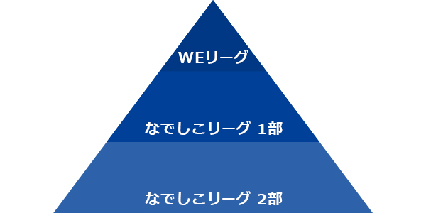 主な活動内容