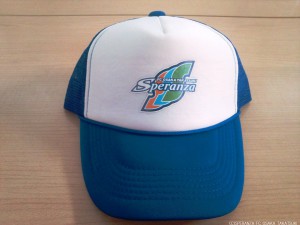 cap2015