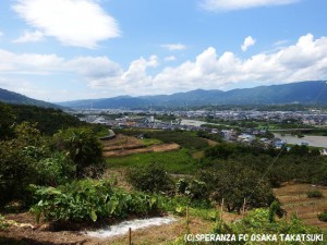 紀の川をみおろす