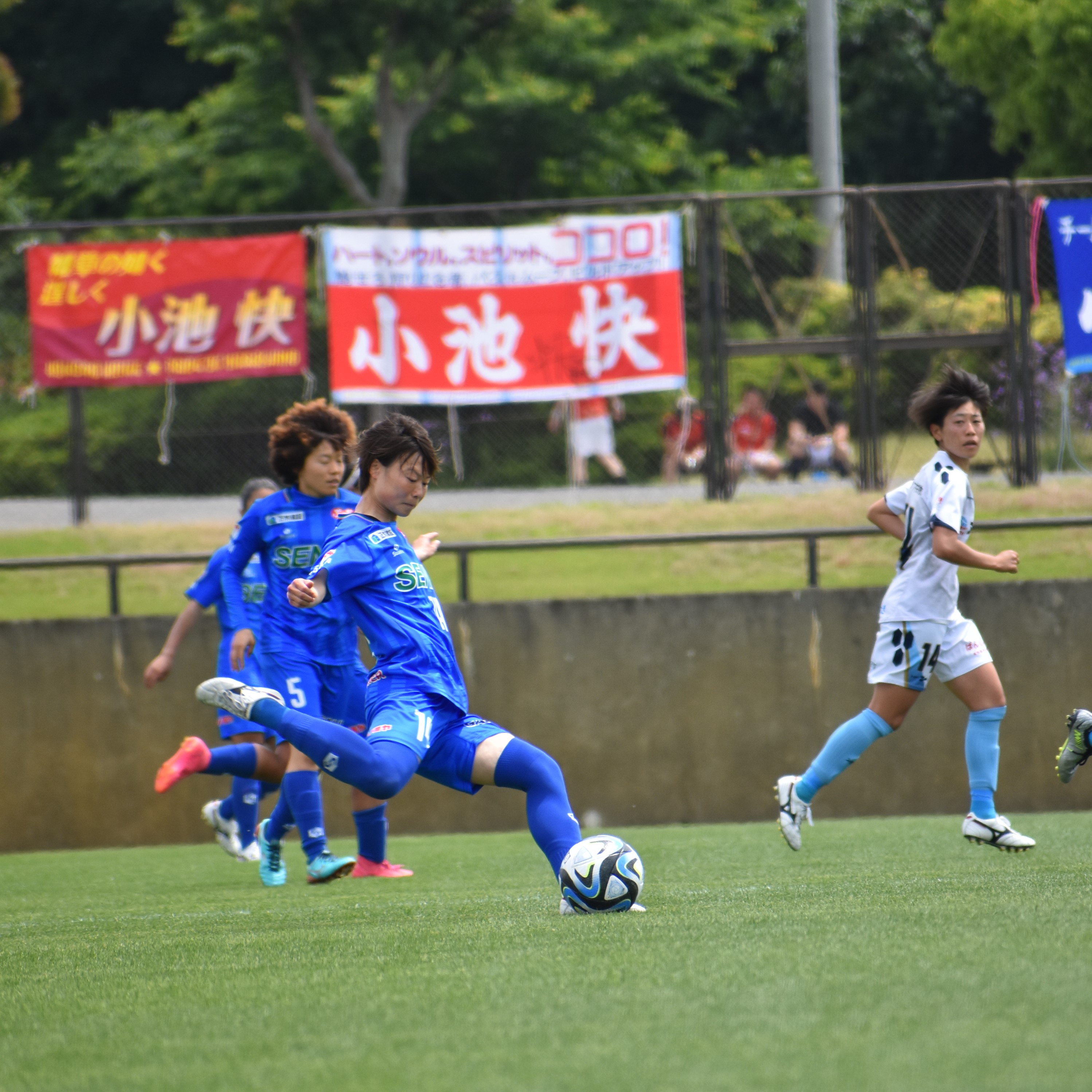 小熊 桃華
