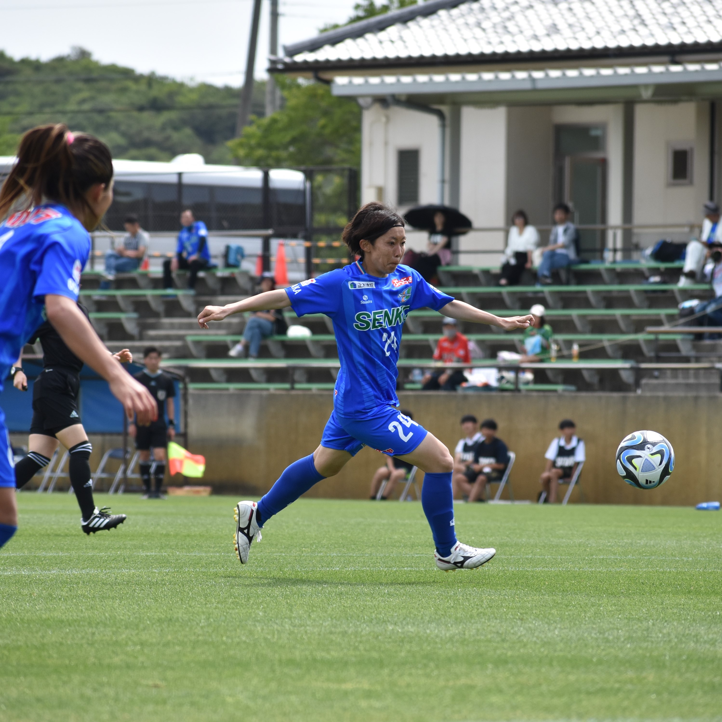 中野 真奈美